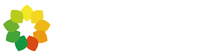 留观网