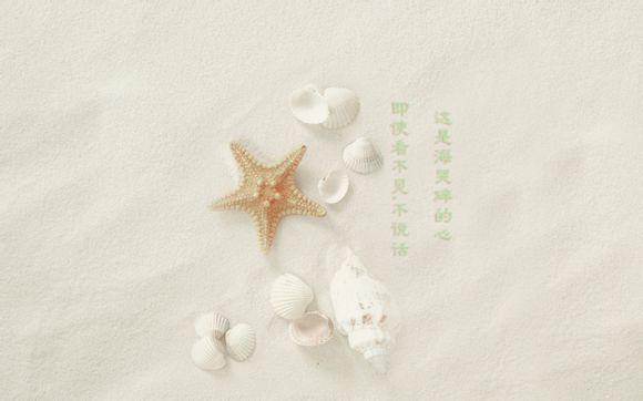 美国加州65测试项目