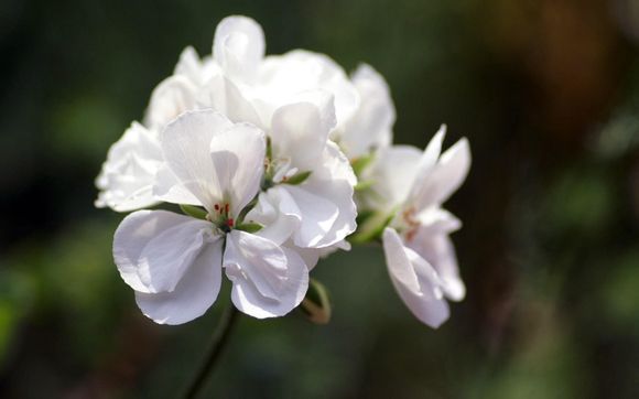 一部手机多少重多少克