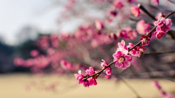 无线破解器哪个好用