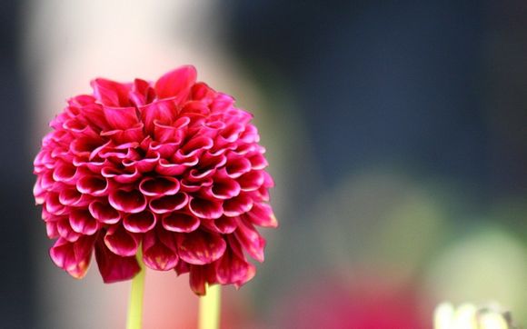 app开发公司如何赚钱