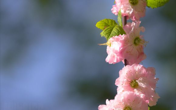 app留存率一般多少