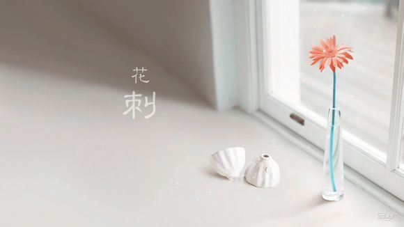 cf卡盾是什么